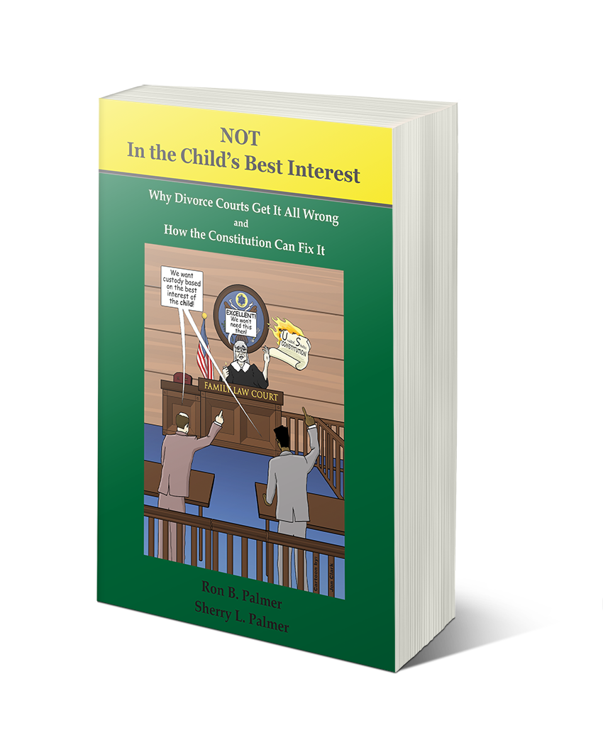 Beginner's Guide to Family Law by Ron B. Palmer